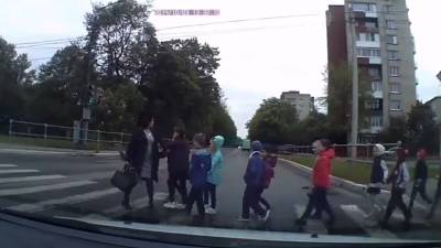 В Кингисеппе учительница перевела класс через дорогу на «красный», теперь ее действия проверят — видео