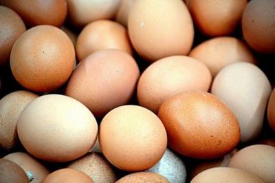 Минсельхоз прокомментировал сообщение о дефиците яиц