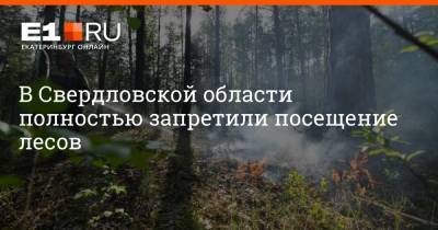 В Свердловской области полностью запретили посещение лесов