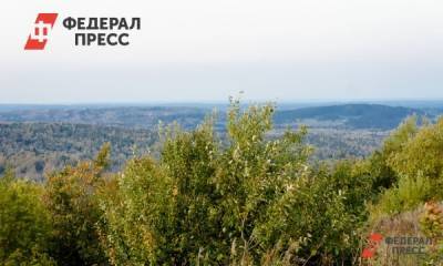 Свердловчанам запретили ходить в лес до 10 июня
