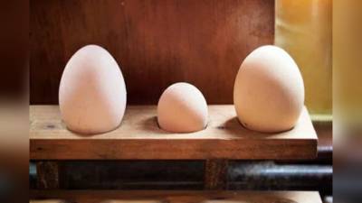 Минсельхоз исключил дефицит яиц