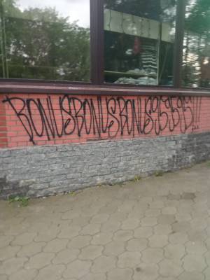В Приозерске парень «безвкусно» разукрасил стену граффити — фото