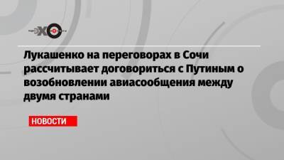 Лукашенко на переговорах в Сочи рассчитывает договориться с Путиным о возобновлении авиасообщения между двумя странами