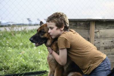 Российский фильм «Пальма» о брошенной собаке станет бестселлером в Японии – премьера вызвала ажиотаж – Учительская газета