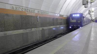 С начала года на рельсы в петербургском метро упали восемь человек - piter.tv - Санкт-Петербург