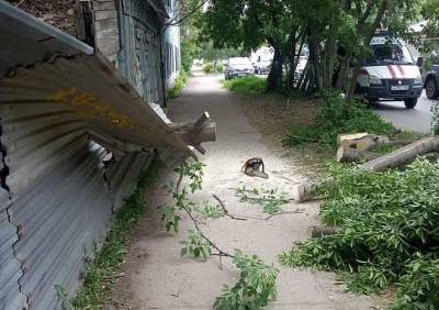 Спасатели распилили упавшее на улице Чапаева дерево