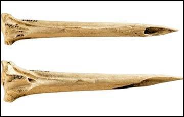 Археологи нашли в США древнейшие инструменты для создания татуировок