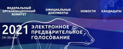 Чеховцы могут принять участие в предварительном голосовании «Единой России»