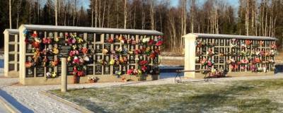 Владимир Дмитриев - В Череповце планируют построят крематорий с колумбарием - runews24.ru - Череповец