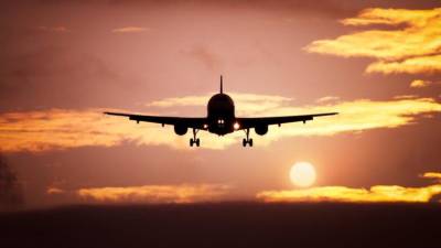 М. Скуодис: результаты расследования ICAO могут быть через месяц
