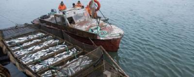 На Чукотке в текущем году разрешили добыть 8,5 тысяч тонн лосося