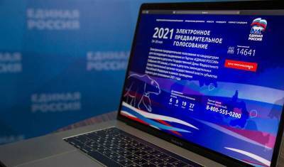 «Единая Россия» поставила рекорд по электронному голосованию