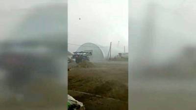 Вести. В Алтайском крае буря унесла зернохранилище и повредила технику в одном из хозяйств