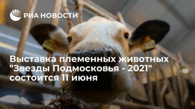 Выставка племенных животных "Звезды Подмосковья - 2021" состоится 11 июня