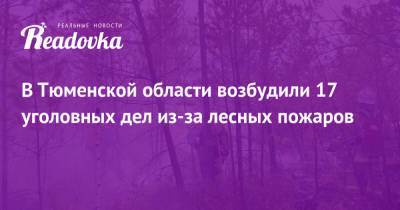 В Тюменской области возбудили 17 уголовных дел из-за лесных пожаров - readovka.news - Тюменская обл.