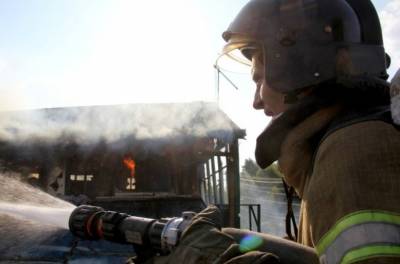 Липецкие спасатели напоминают: тополиный пух пожароопасен