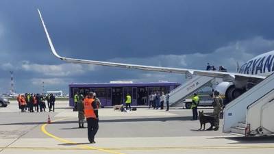 Принудительную посадку самолета в Минске расследуют органы Литвы, Польши и США