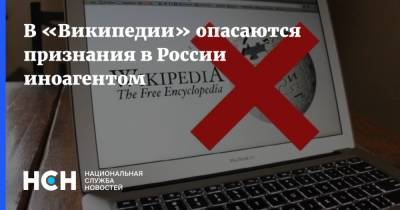 В «Википедии» опасаются признания в России иноагентом - nsn.fm