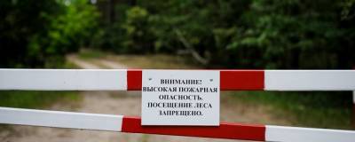 Жителям Свердловской области запретили посещать леса из-за опасности пожаров