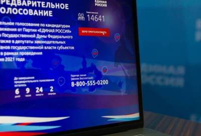 Каждый день на миллион: за 5 дней в праймериз «Единой России» приняли участие более 5 миллионов человек