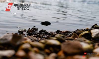 Денис Паслер призвал поддержать сохранить экосистему бассейна Урала