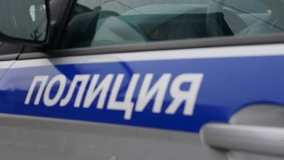 Полиция начала проверку по факту нападения на актера Котлярова в Москве