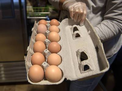 Руспродсоюз оценил угрозу дефицита яиц в России