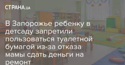 В Запорожье ребенку в детсаду запретили пользоваться туалетной бумагой из-за отказа мамы сдать деньги на ремонт