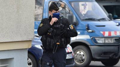 Во Франции задержали злоумышленника, напавшего на сотрудницу полиции