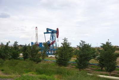 Власти ХМАО хотят отдать компаниям 55 участков для поиска и добычи 454 млн тонн нефти