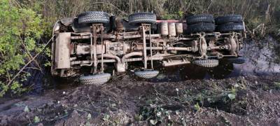 В Карелии грузовик упал с дороги в болото (ФОТОФАКТ)