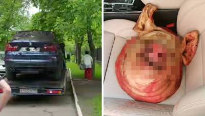 Муж москвички подбросил голову свиньи в ее BMW