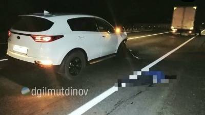 В Башкирии неизвестный пешеход погиб под колёсами авто