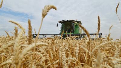 В Минсельхозе назвали размер пошлины на экспорт пшеницы