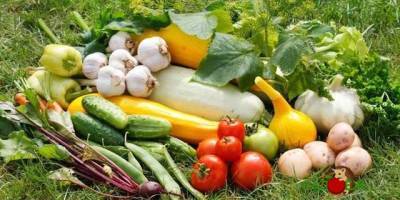 Украинцы обязаны платить налоги за овощи из огорода: в налоговой рассказали, когда и в каком размере