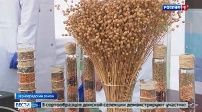 В Зерноградском районе обсудили развитие донского семеноводства