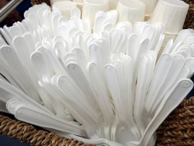 «Зелеными» предложена альтернатива запрету пластиковой посуды и ватных палочек