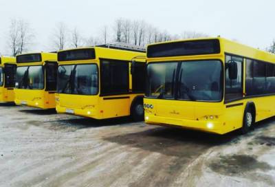 Новый социальный автобус соединит Янино и Петербург уже 29 мая