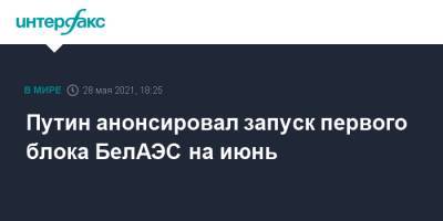 Владимир Путин - Александр Лукашенко - Путин анонсировал запуск первого блока БелАЭС на июнь - interfax.ru - Москва - Сочи