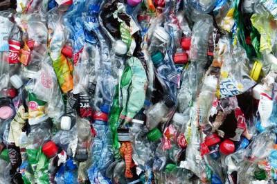 Эколог назвал причину, чтобы навсегда отказаться от пластиковой посуды