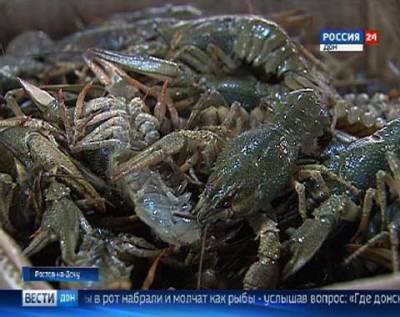 В Ростовской области задержали браконьеров, незаконно вылавливающих раков и рыбу