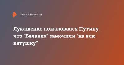 Лукашенко пожаловался Путину, что "Белавиа" замочили "на всю катушку"