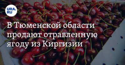 В Тюменской области продают отравленную ягоду из Киргизии