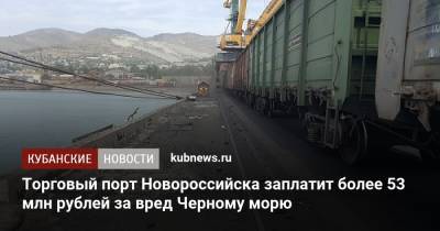 Торговый порт Новороссийска заплатит более 53 млн рублей за вред Черному морю