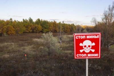 16-летняя девочка сбежала из "ДНР", перейдя минные поля