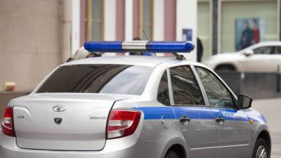 Сочинские полицейские арестовали навязчивых «лошадей-вымогателей»