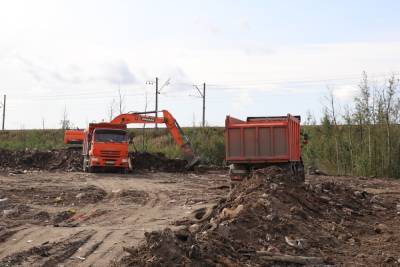 Губернатор Беглов обсудил с министром экологии ликвидацию крупных свалок Петербурга