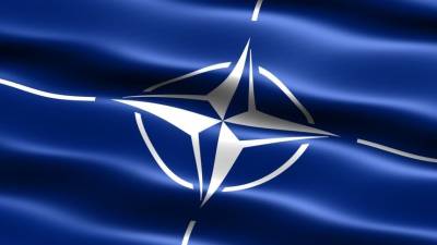 «Безумие!» — Французы высказали свое мнение о вступлении Украины в НАТО
