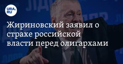 Жириновский заявил о страхе российской власти перед олигархами. «Направят в Кремль боевиков»