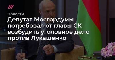 Депутат Мосгордумы потребовал от главы СК возбудить уголовное дело против Лукашенко